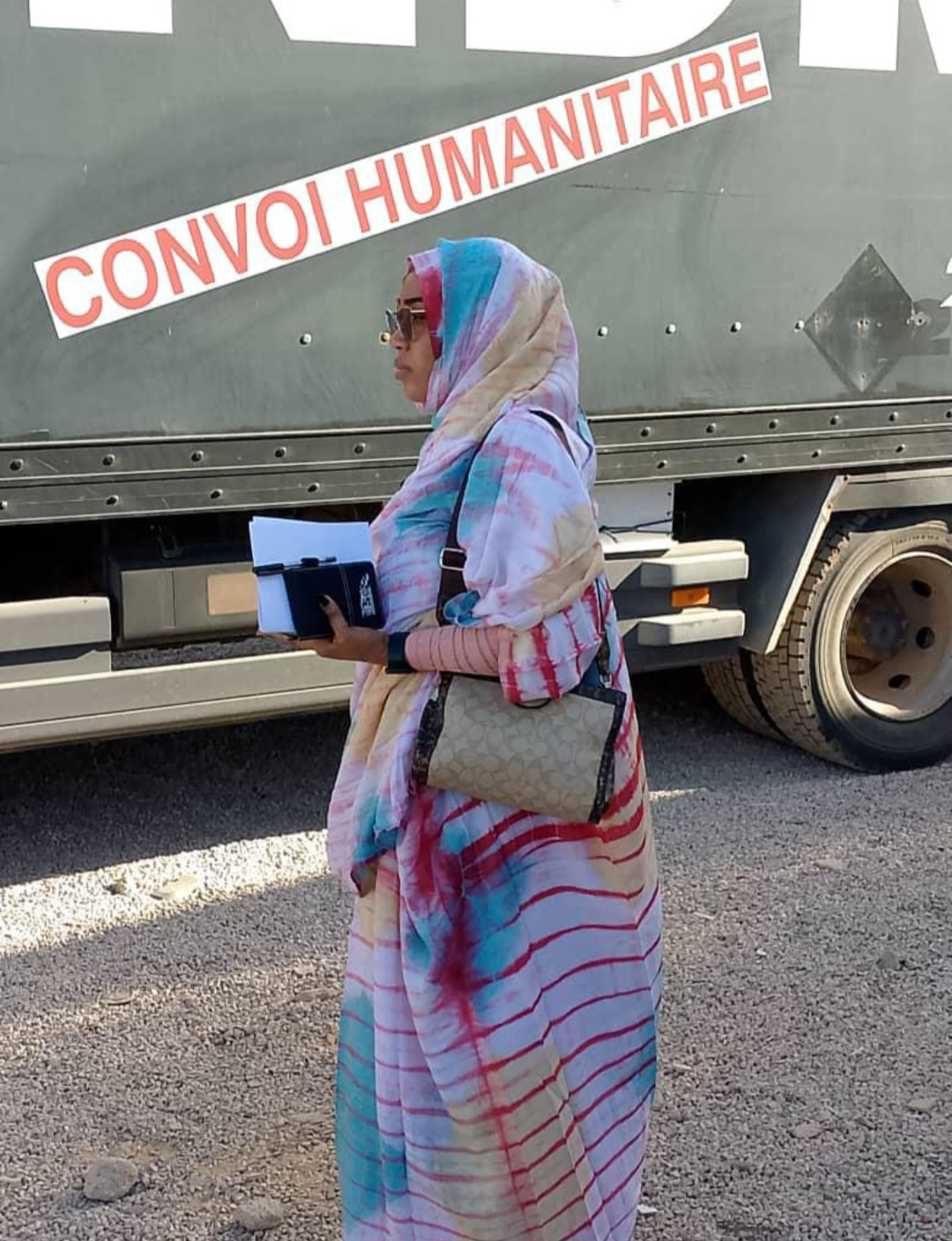 الطبيبة : رقية حسنه شيبة 